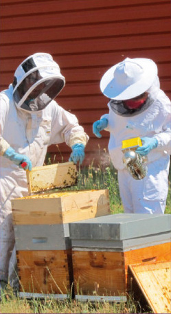 visuel-engagements-de-qualite-04-ruches